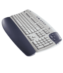 logikeyboard.gif - 14185 Bytes